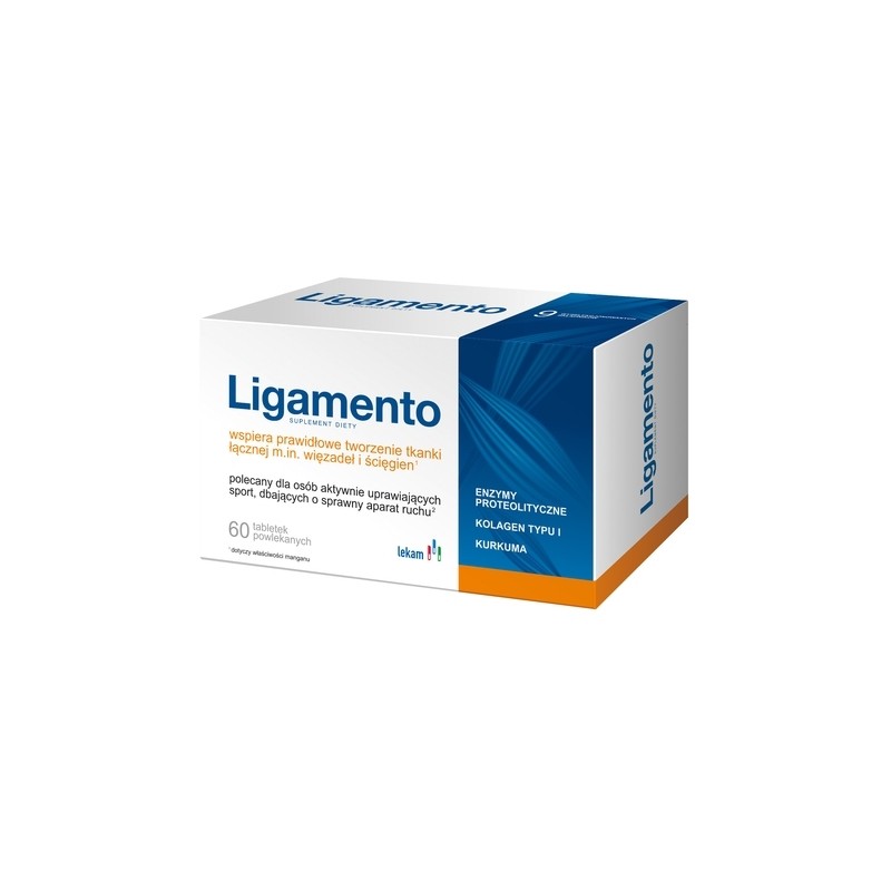 Ligamento