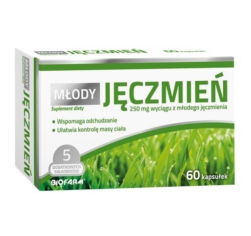 Młody jęczmień