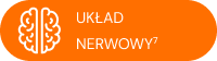 Układ nerwowy